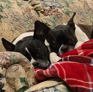 Meet your Posher, Marilyn